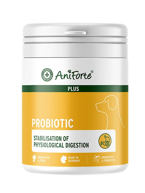 AniForte® Plus Probiotiques Tabs 90 comprimés