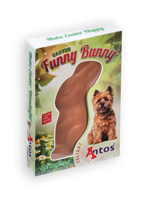 Lapin amusant de Pâques