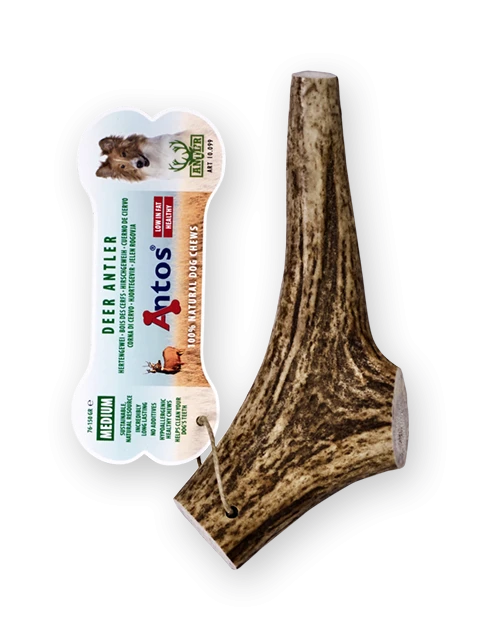 Gourmore Bois de Cerf Medium 76-150 gr