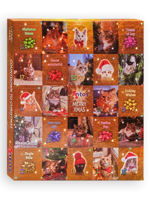Calendrier de l'Avent de Noël 200 gr - Chat
