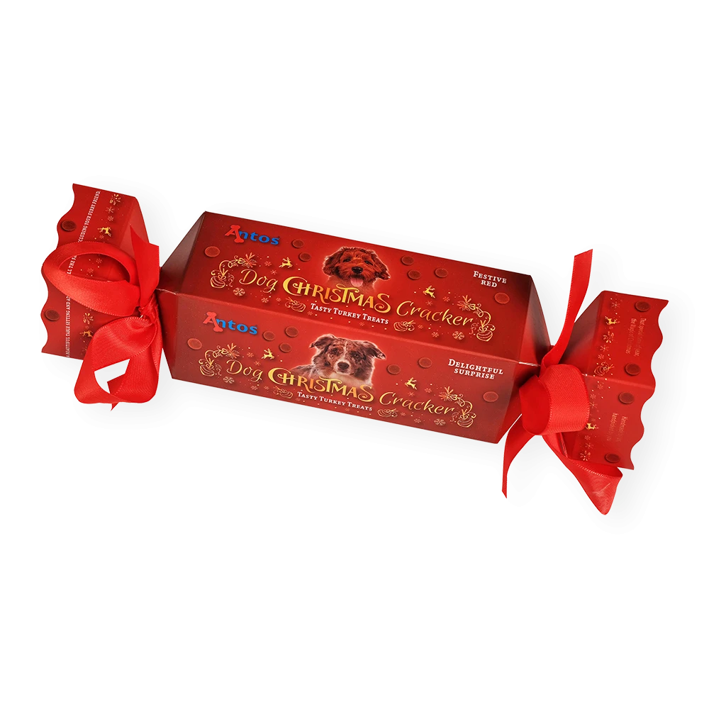 Cracker de Noël pour chien