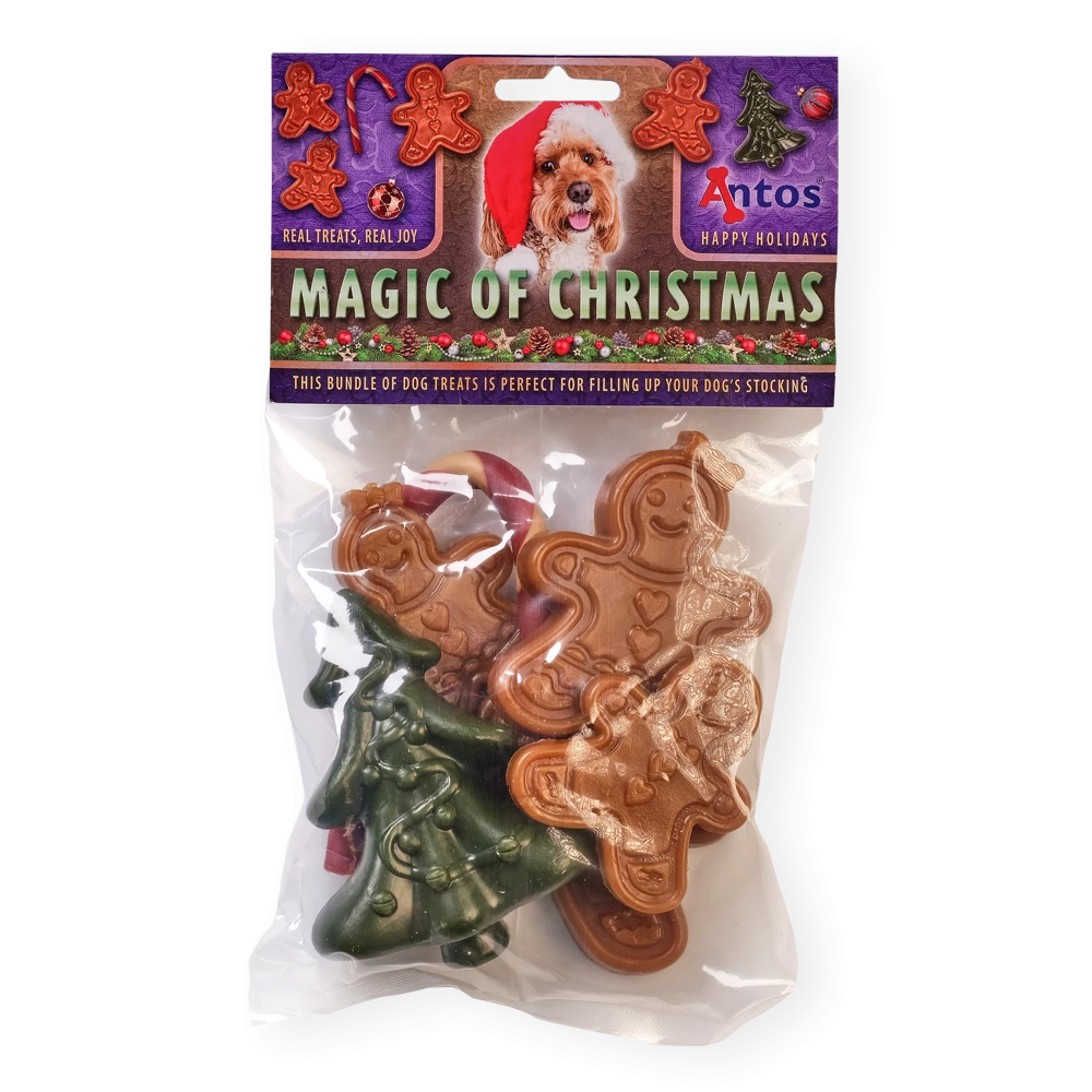 La Magie de Noël 6 pces