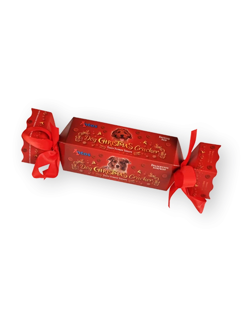 Cracker de Noël pour chien