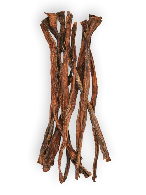 Pharynx de Boeuf Longue 70 cm