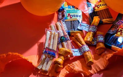 Applaudi avec des snacks orange pour chiens