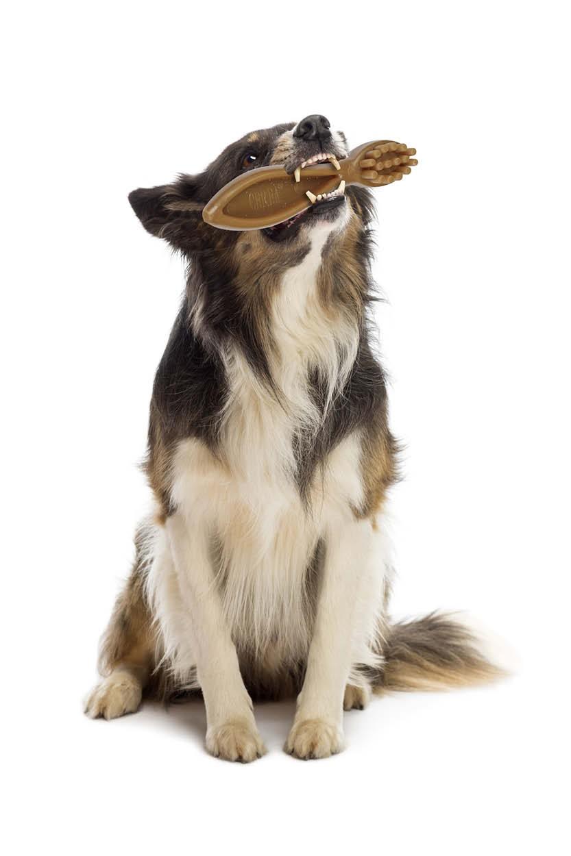 Produits a mastiquer dentaires pour chiens Produits a mastiquer dentaires pour chiens