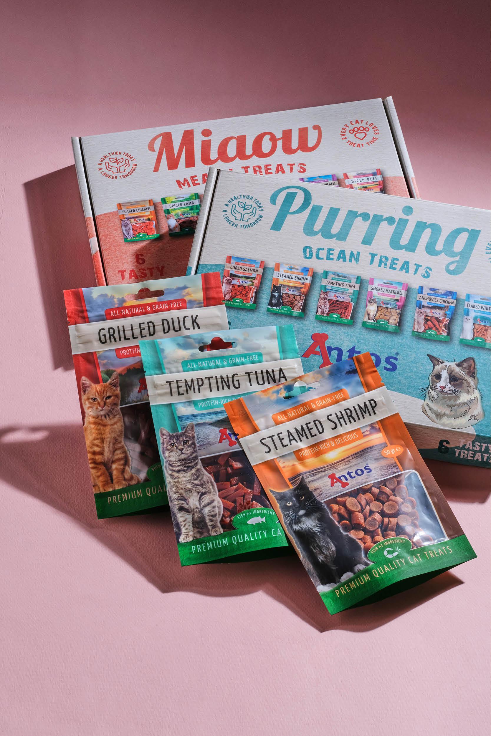 Cadeau « Journée des animaux » pour chat Cadeau « Journée des animaux » pour chat