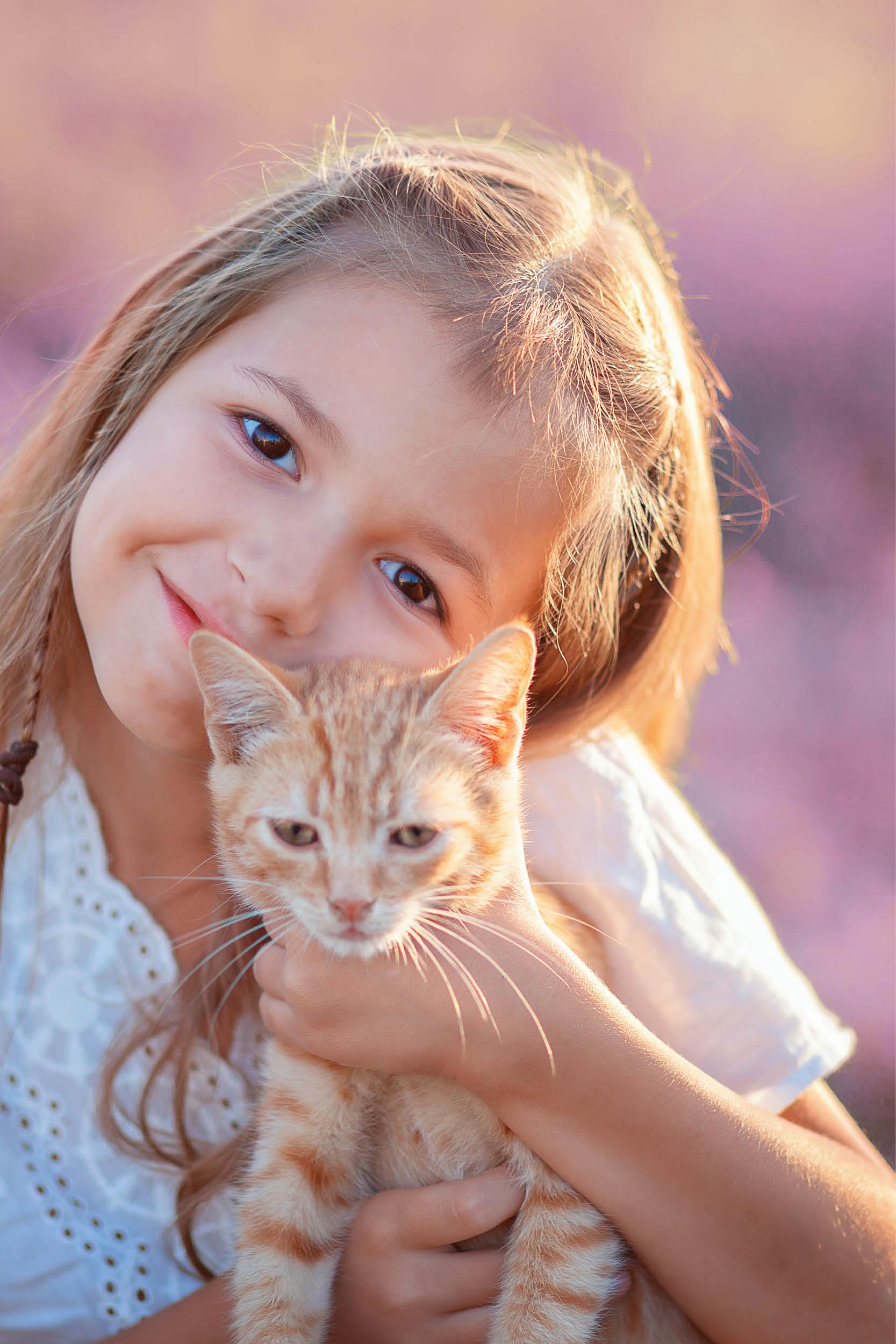 Gâtez votre chat Gâtez votre chat
