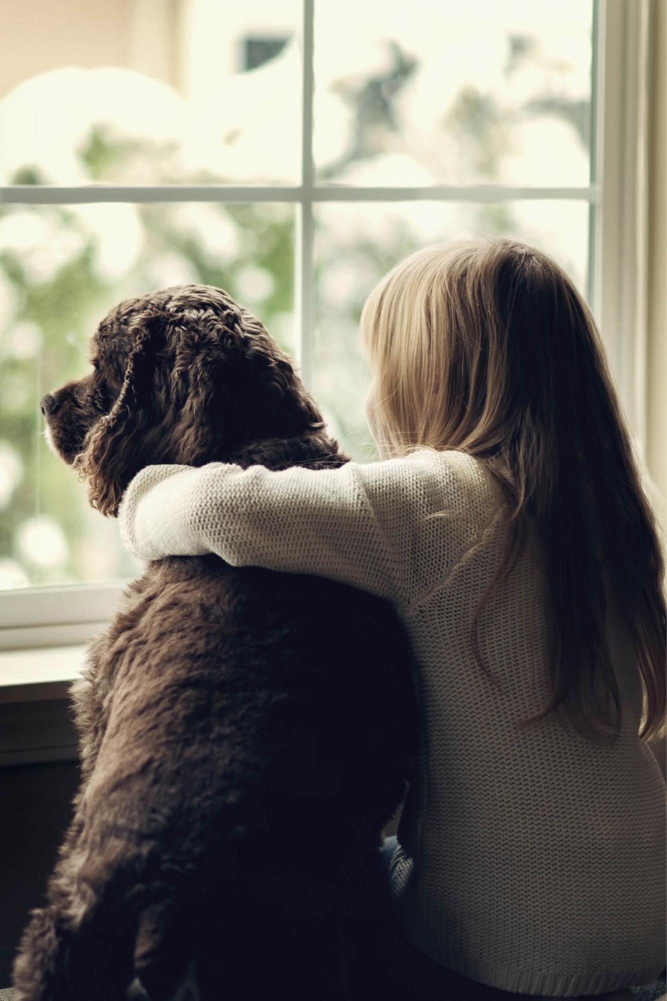 Nous aimons les chiens Nous aimons les chiens