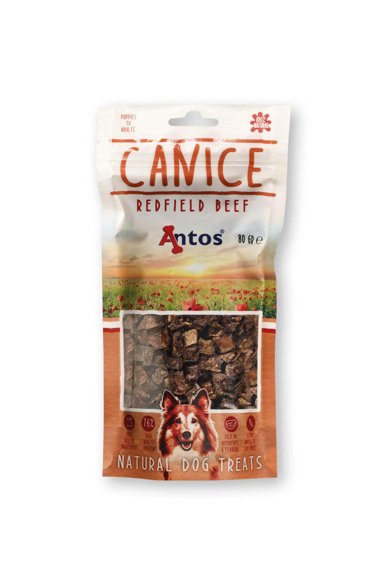 Canice Boeuf Canice Boeuf