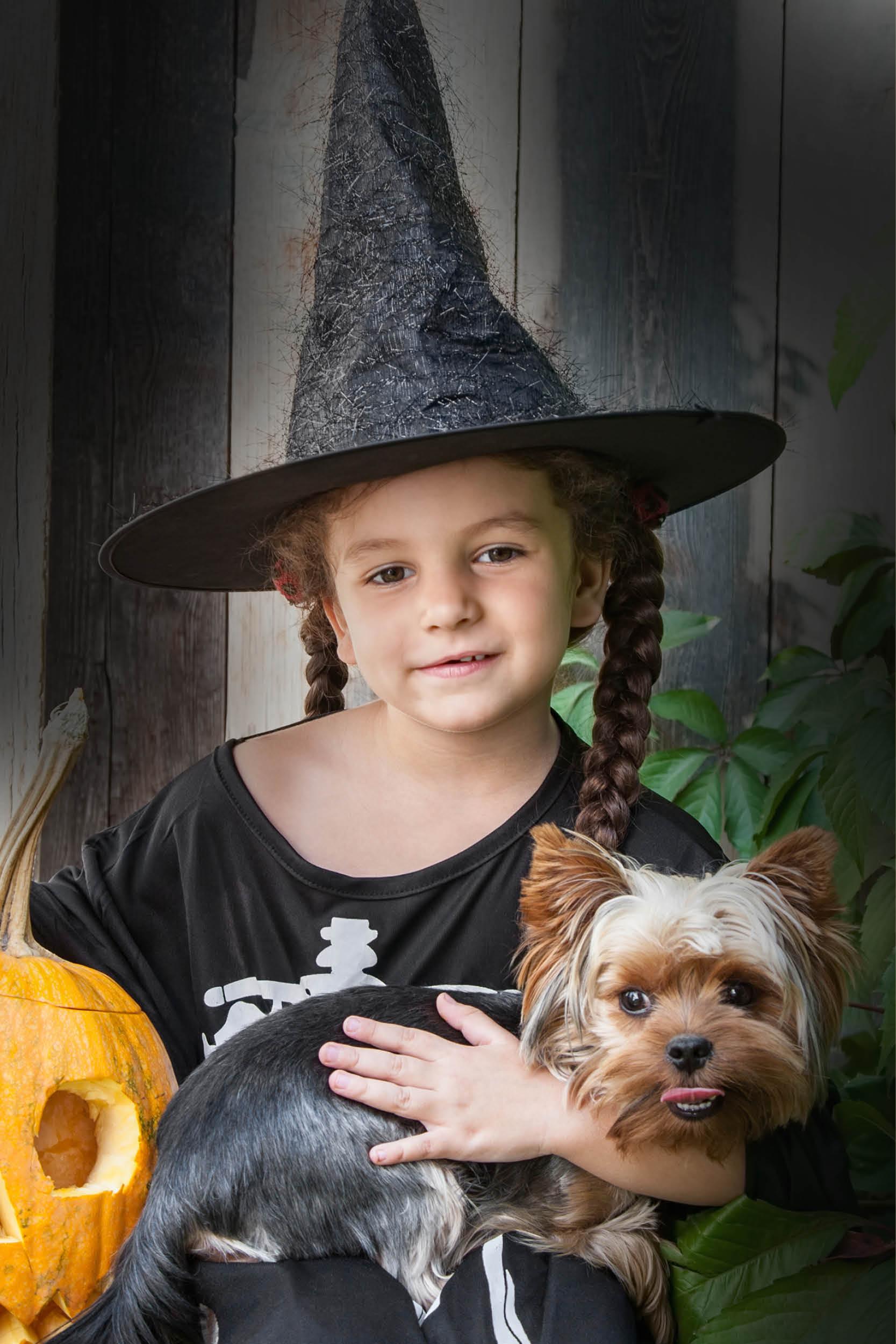 Gâtez votre toutou pendant Halloween !