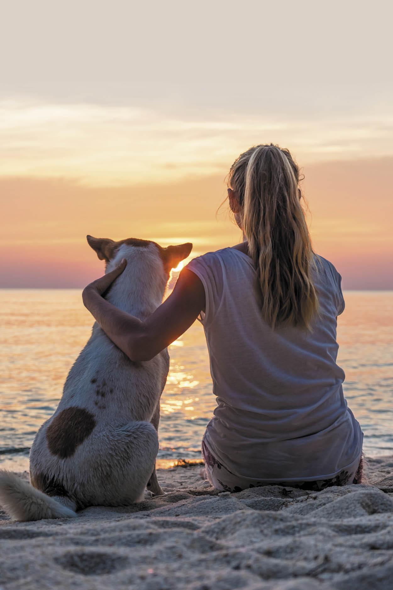 Les chiens apportent tellement de joie