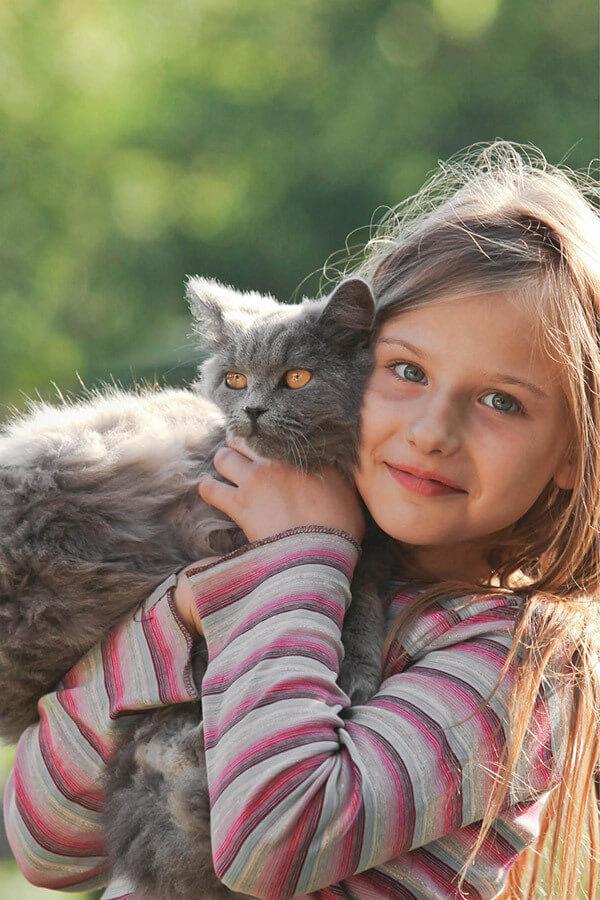Nous aimons les chats Nous aimons les chats