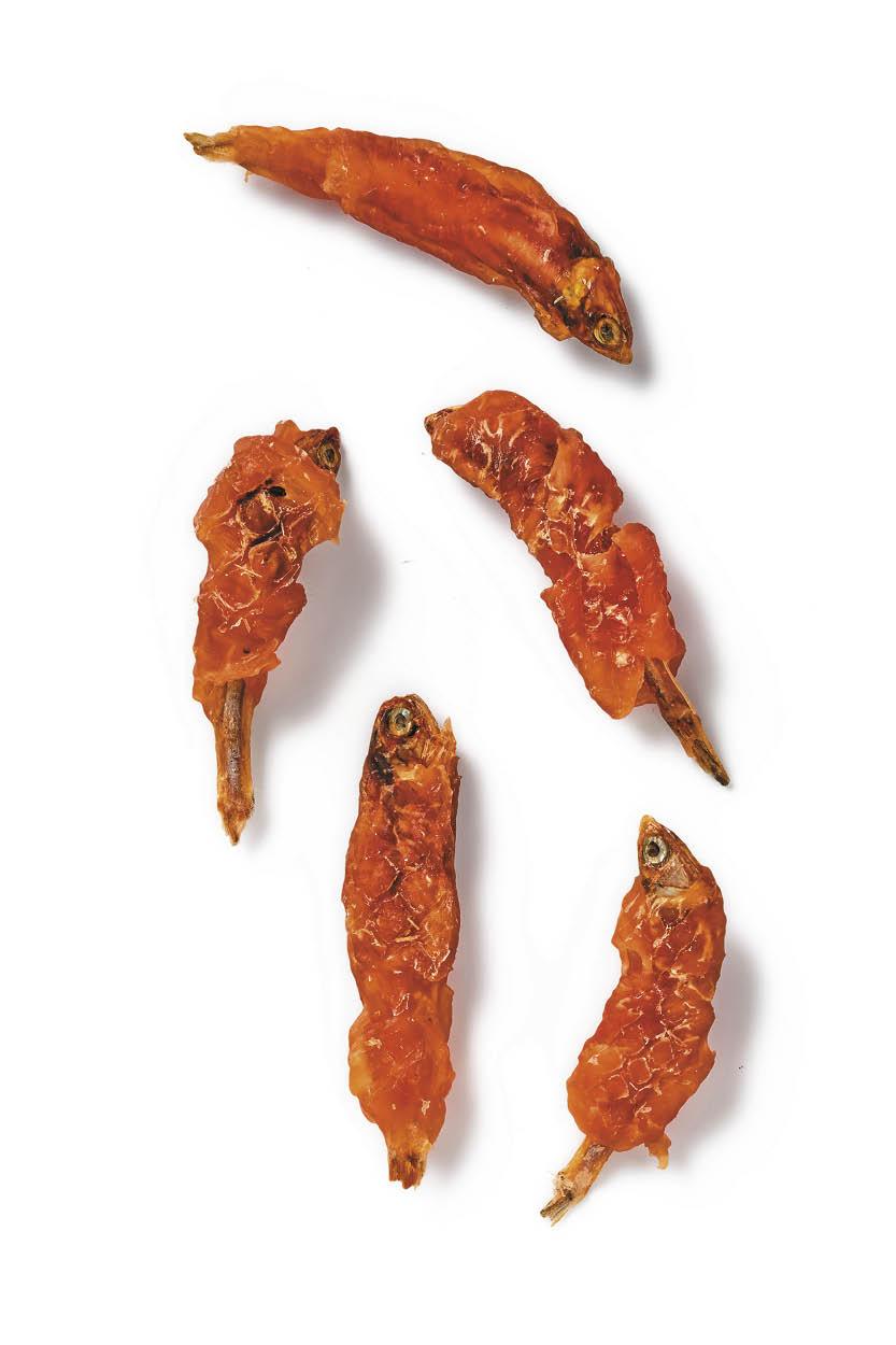 Friandises pour chats à base de viande ou de poisson Friandises pour chats à base de viande ou de poisson