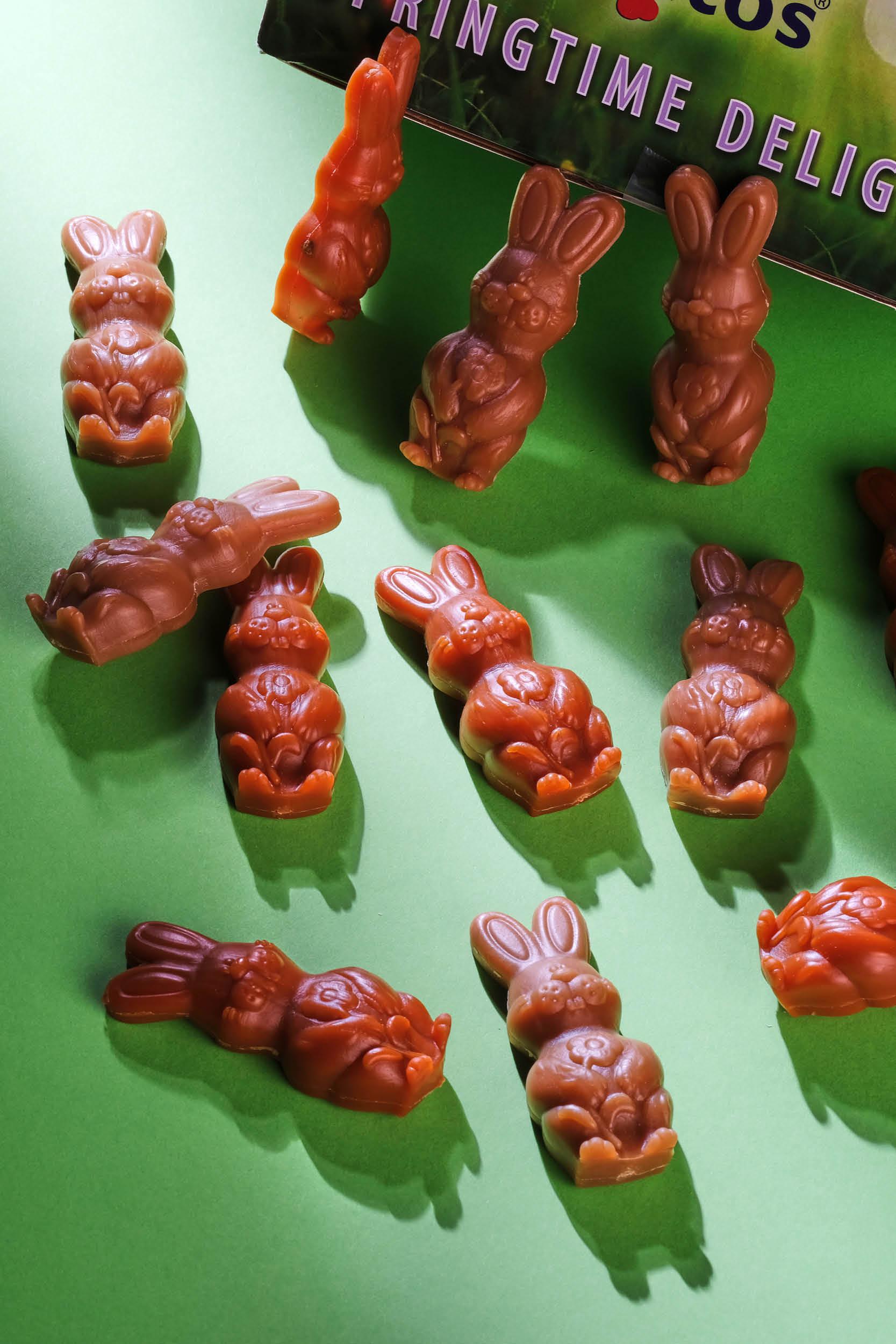 Friandises de Pâques pour chien ou chat Friandises de Pâques pour chien ou chat