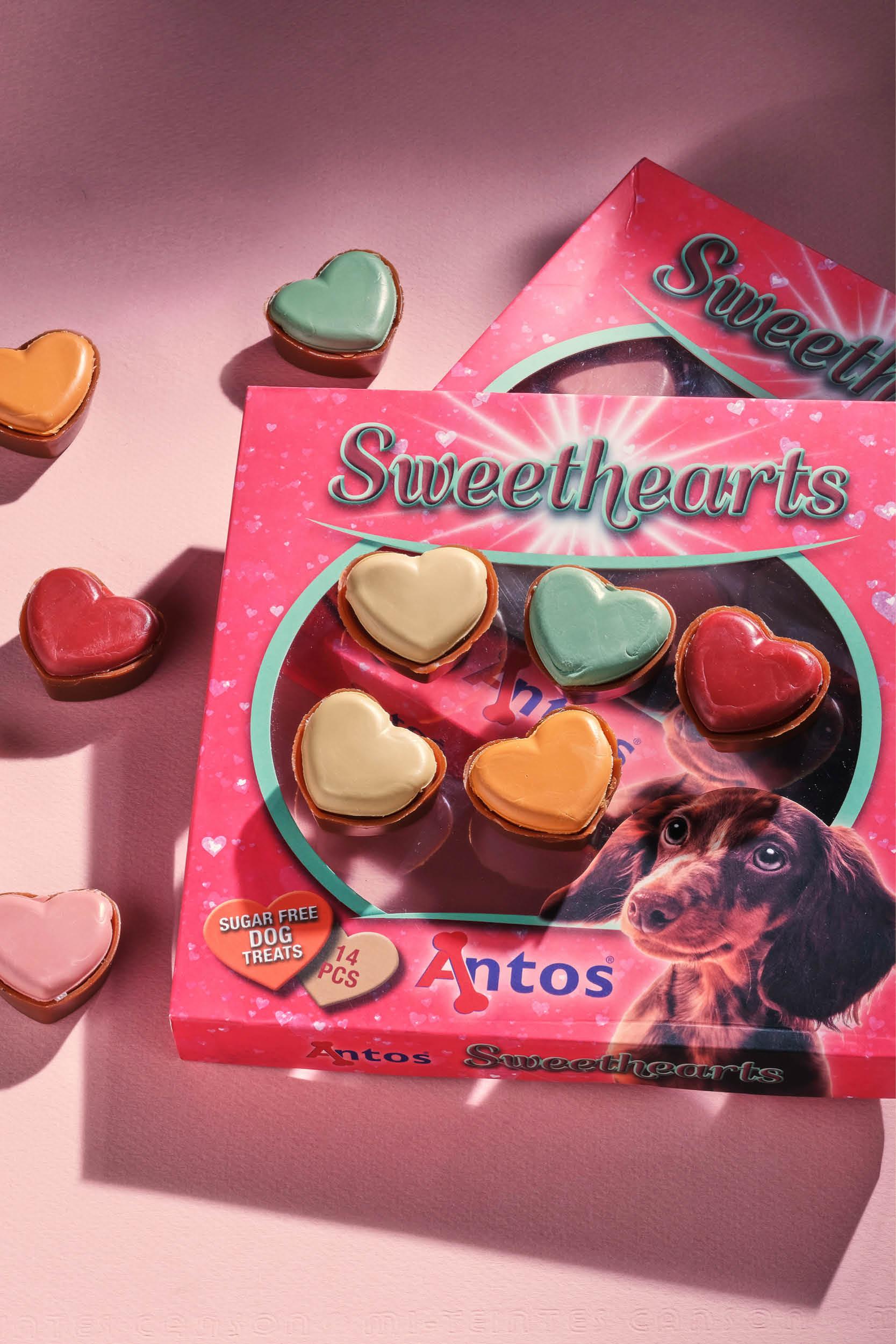 La Saint-Valentin des chiens La Saint-Valentin des chiens