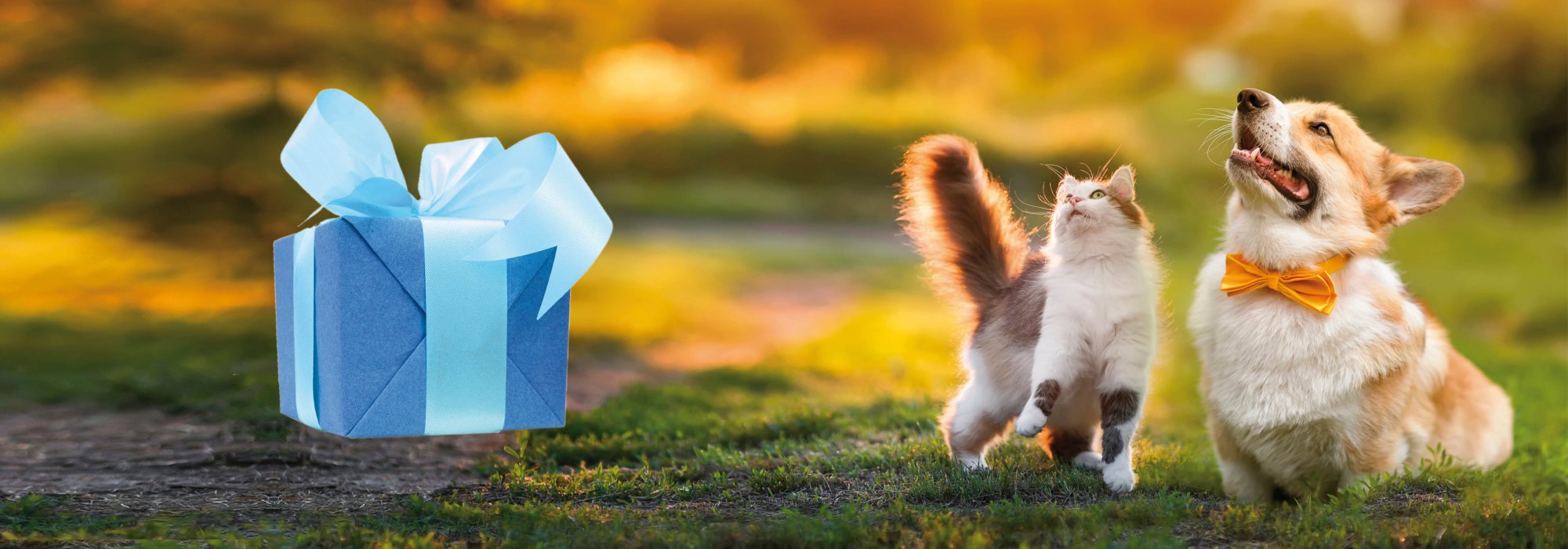 Journée mondiale des animaux