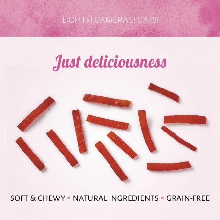 Cat Treats Grilled Canard 50 gr