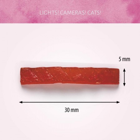 Cat Treats Grilled Canard 50 gr