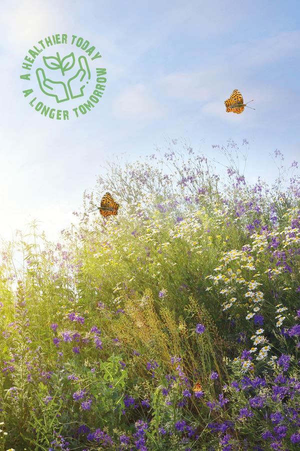 Vie  caractre durable