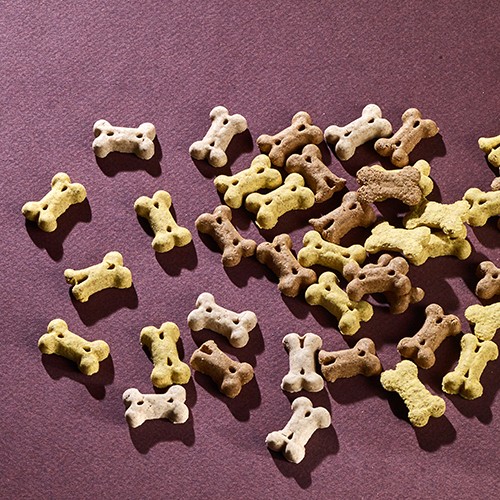 Rcompenses de dressage pour chiens