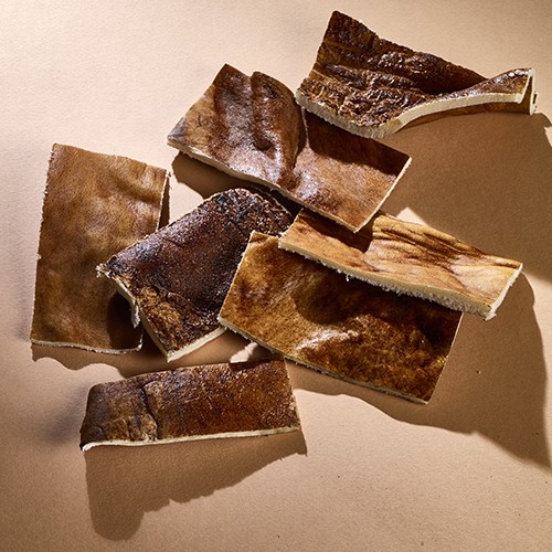 Snacks pour chien naturels