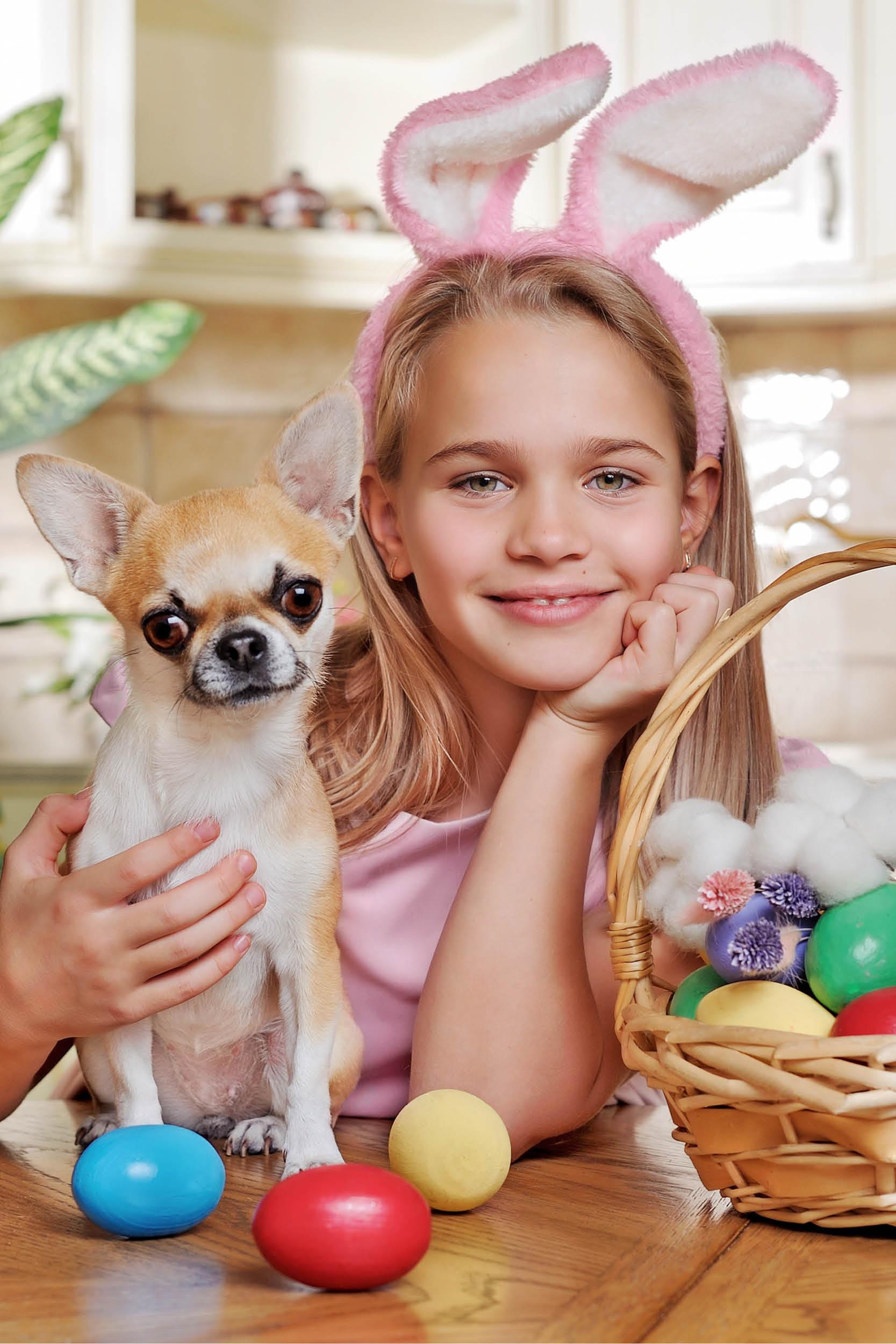 Une joyeuse Pâques pour chiens